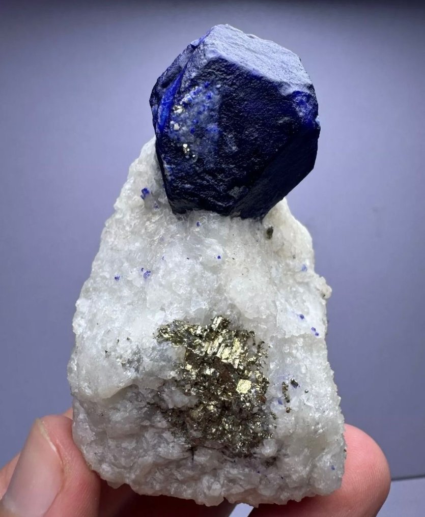 Top royal blue Lazurite på Matrix. Prøve - Højde: 74 mm - Bredde: 48 mm- 213 g - (1) #1.0