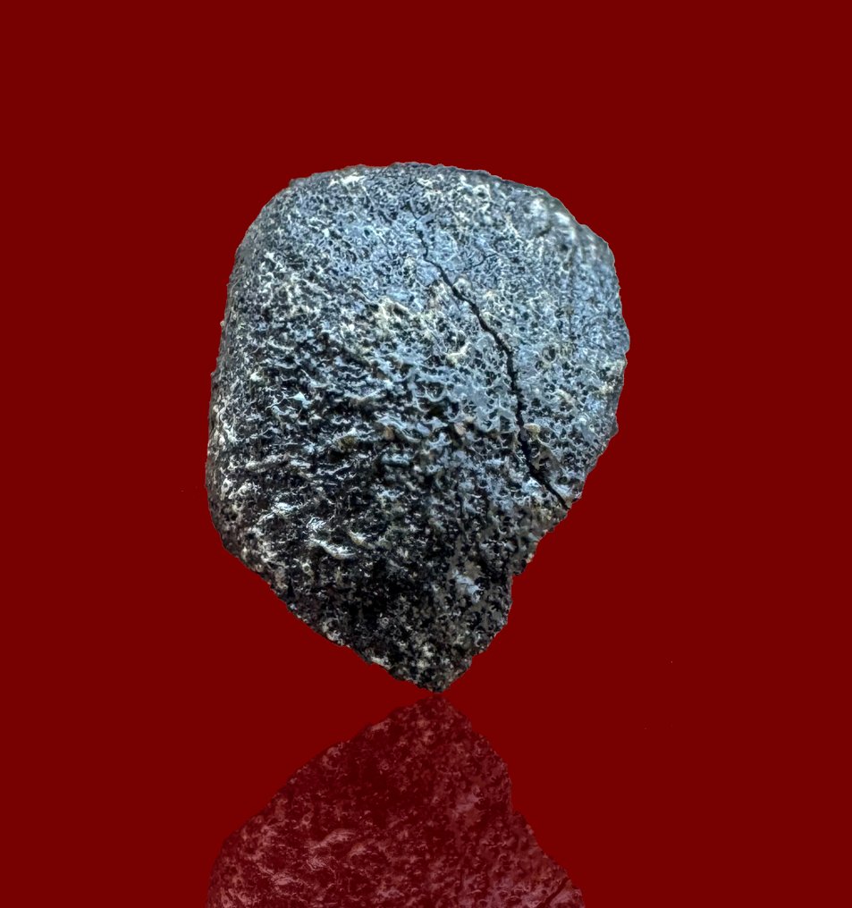 Moroccan fall observed on August 6, 2024 Ait Saoun oriented specimen Ait Saoun EH3 - 0.3 g - (1) #1.0