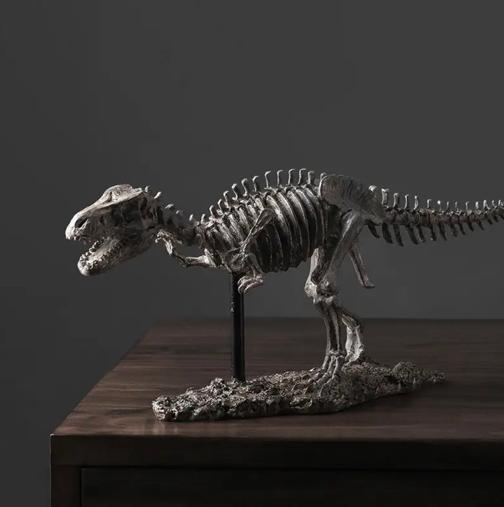 暴龙 rex XXL - 骨骼化石 - 45 cm  (沒有保留價) #3.2