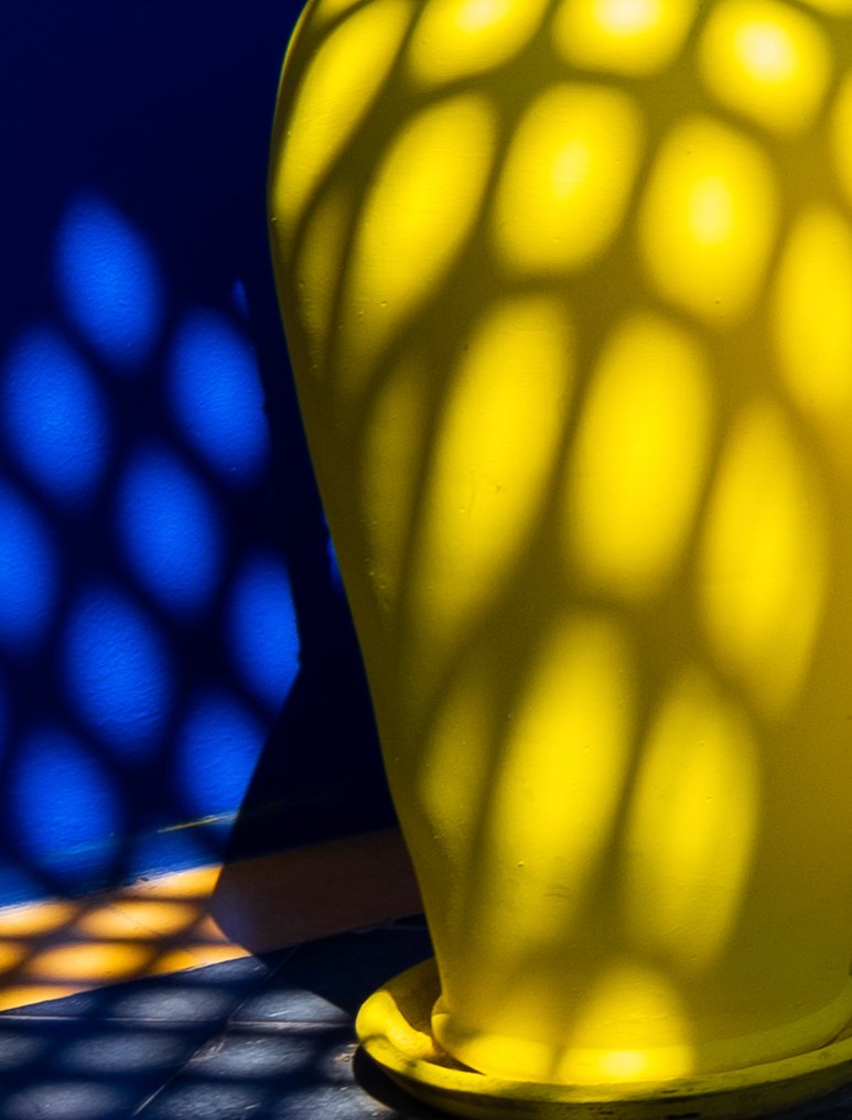 Dominik Valvo - Jardin Majorelle #6 (Marrakech 2024) XL #2.1