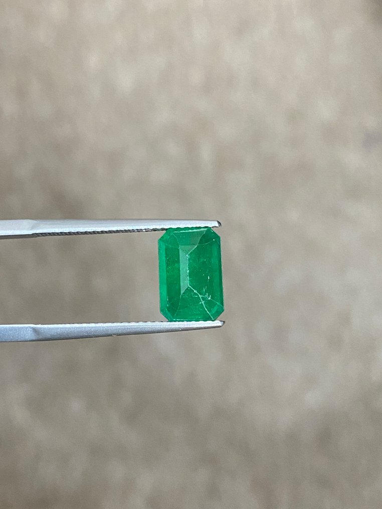 没有保留价 - 1 pcs  绿色 祖母绿  - 2.84 ct - 莲花宝石实验室 - 浓郁的绿色祖母绿 #2.1