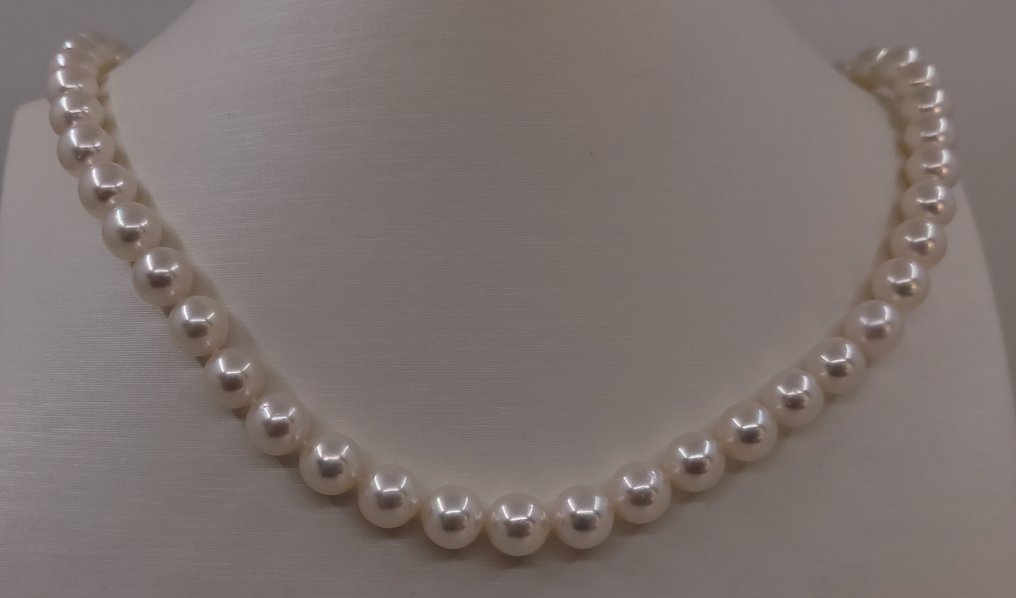 頸鏈 銀, ALGT 认证的Akoya珍珠 - 8.1x8.3毫米 #1.0