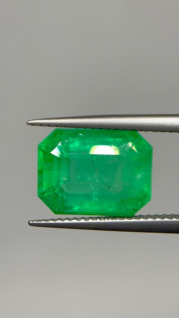1 pcs Zöld Smaragd - 6.66 ct - Ázsiai Gemológiai Tudományok Intézete (AIGS) - Természetes kolumbiai smaragd #1.0