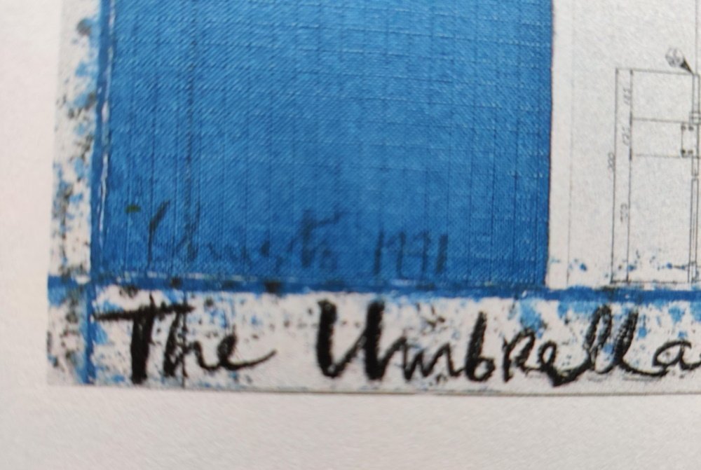 Christo - Christo (1935-2020) - The Blue Umbrellas Japan #3.2