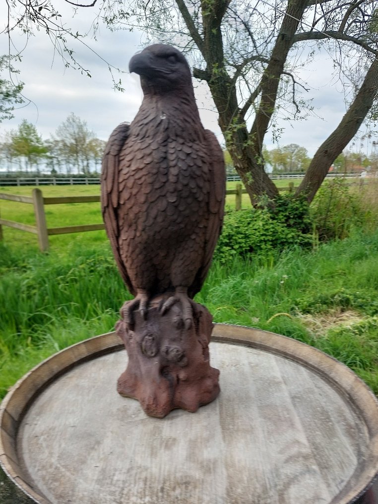 Statua, XXL beeld adelaar - 60 cm - pietra artificiale #2.1
