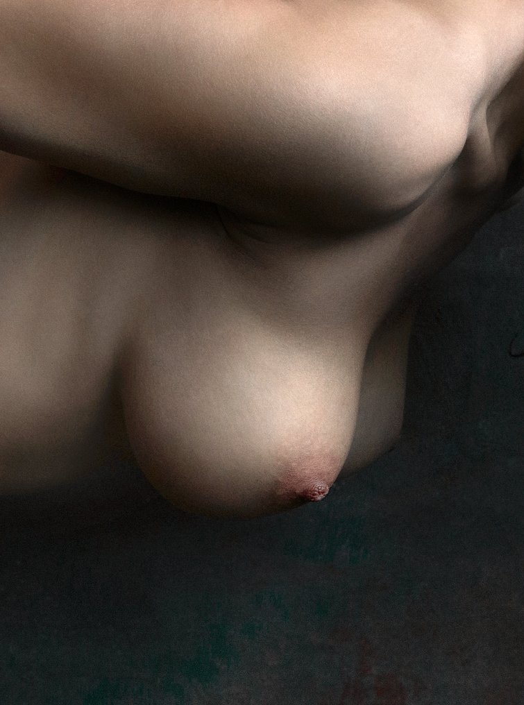 Lida Khaykara - Warm chestnut - XL format #1.0