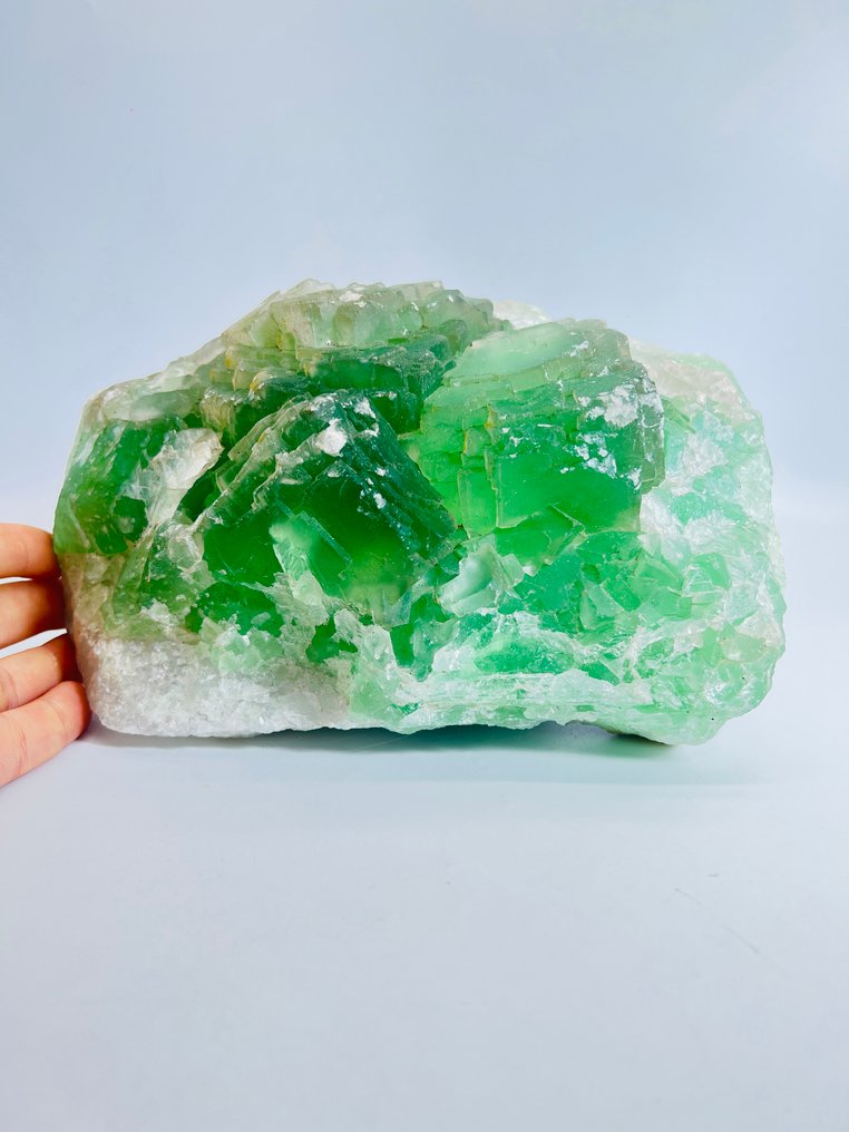 来自中国湖南湘化岭矿的令人惊叹的绿色萤石簇 100%天然 - 无修补 - 高度: 230 mm - 宽度: 200 mm- 7.11 kg - (1) #1.0