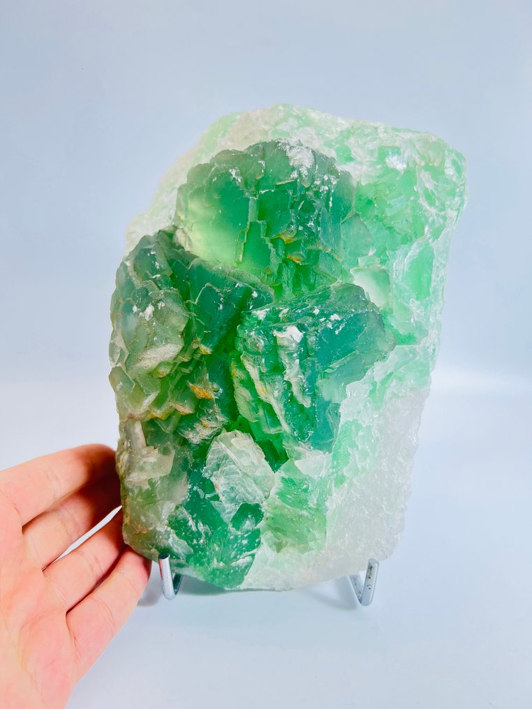 来自中国湖南湘化岭矿的令人惊叹的绿色萤石簇 100%天然 - 无修补 - 高度: 230 mm - 宽度: 200 mm- 7.11 kg - (1) #3.2