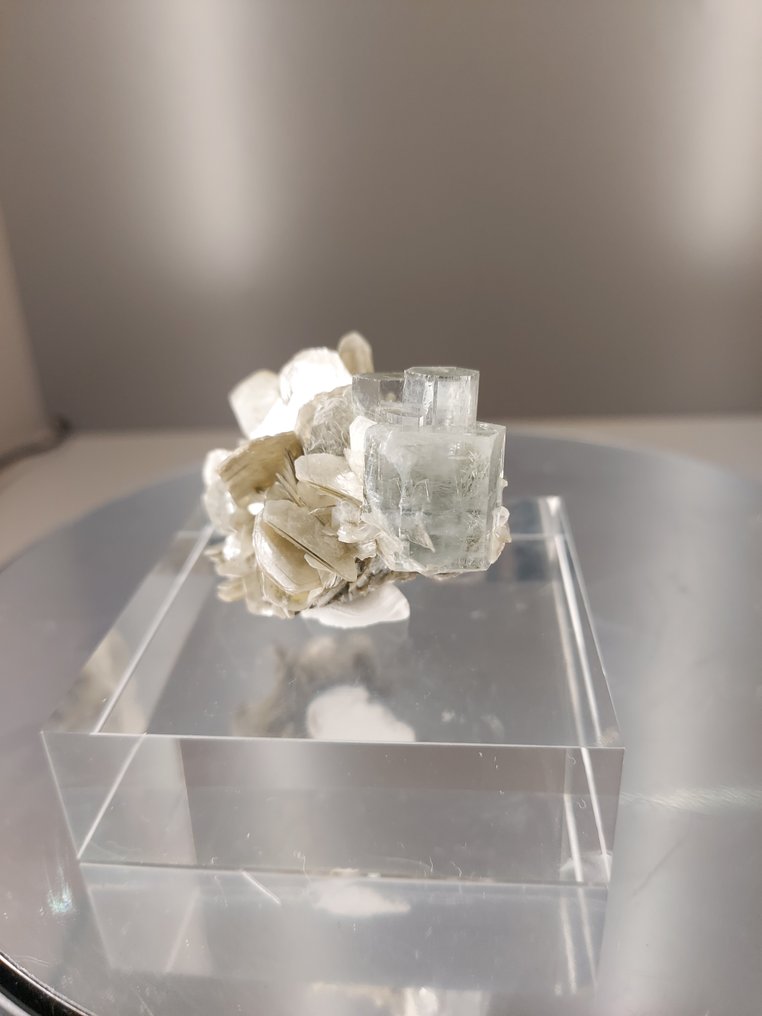 海蓝宝石 水晶矩晶体 - 高度: 3 cm - 宽度: 5 cm- 43 g #2.1