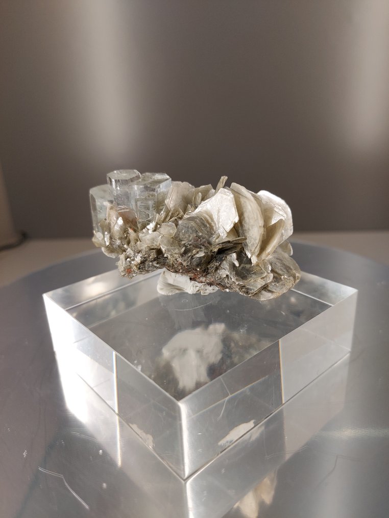 海蓝宝石 水晶矩晶体 - 高度: 3 cm - 宽度: 5 cm- 43 g #4.3