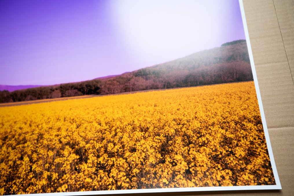 Viet Ha Tran - Purple sky #3.2