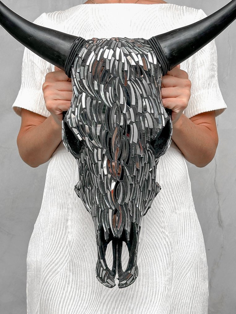 Χωρίς ελάχιστη τιμή - Όμορφο κρανίο αγελάδας με γυάλινη μωσαϊκή επένδυση. Κρανίο - Ovis Aries - 52 cm - 47 cm - 20 cm- Είδη που δεν ανήκουν στο CITES -  (1) #2.1