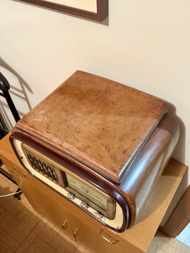 Panizza - Radio Televisione Solaphon Radio #2.2