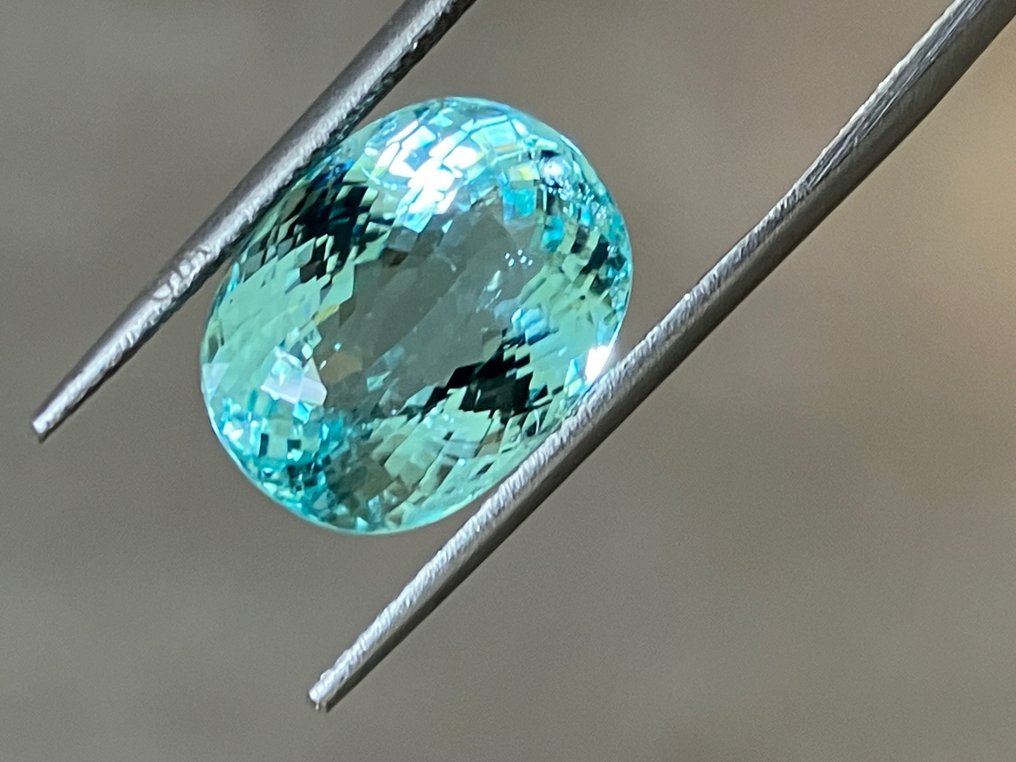 1 pcs Green Tourmaline paraiba - 9.11 ct - Gemological Institute of America (GIA) #4.3