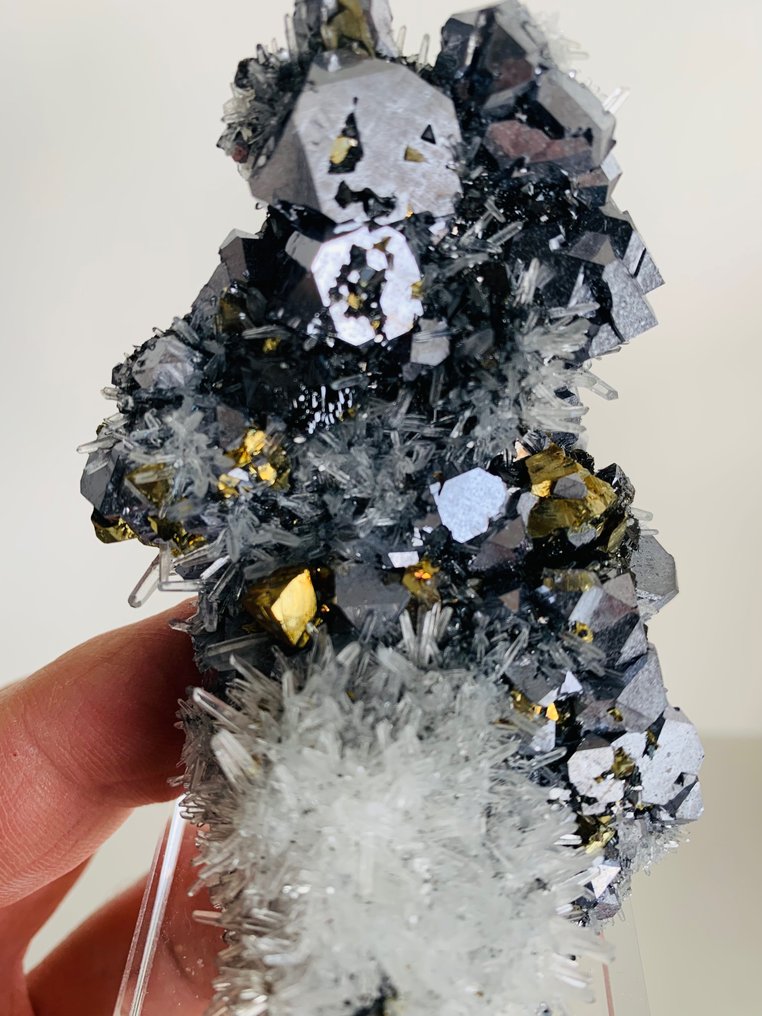 Galena Kristalle auf Muttergestein - Höhe: 9.2 cm - Breite: 6 cm- 200 g - (1) #1.2