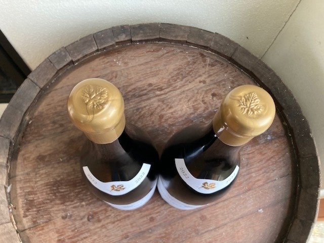 2023 Domaine Maldant "Les Grandes Lolières" - Corton Grand Cru - 2 Magnums (1.5L) #3.2