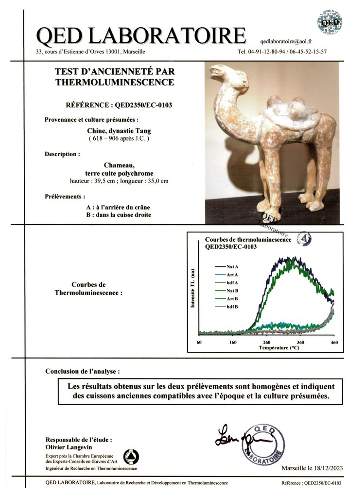 中国古代 Terracotta 骆驼进行 TL 测试 - 39.5 cm #3.1