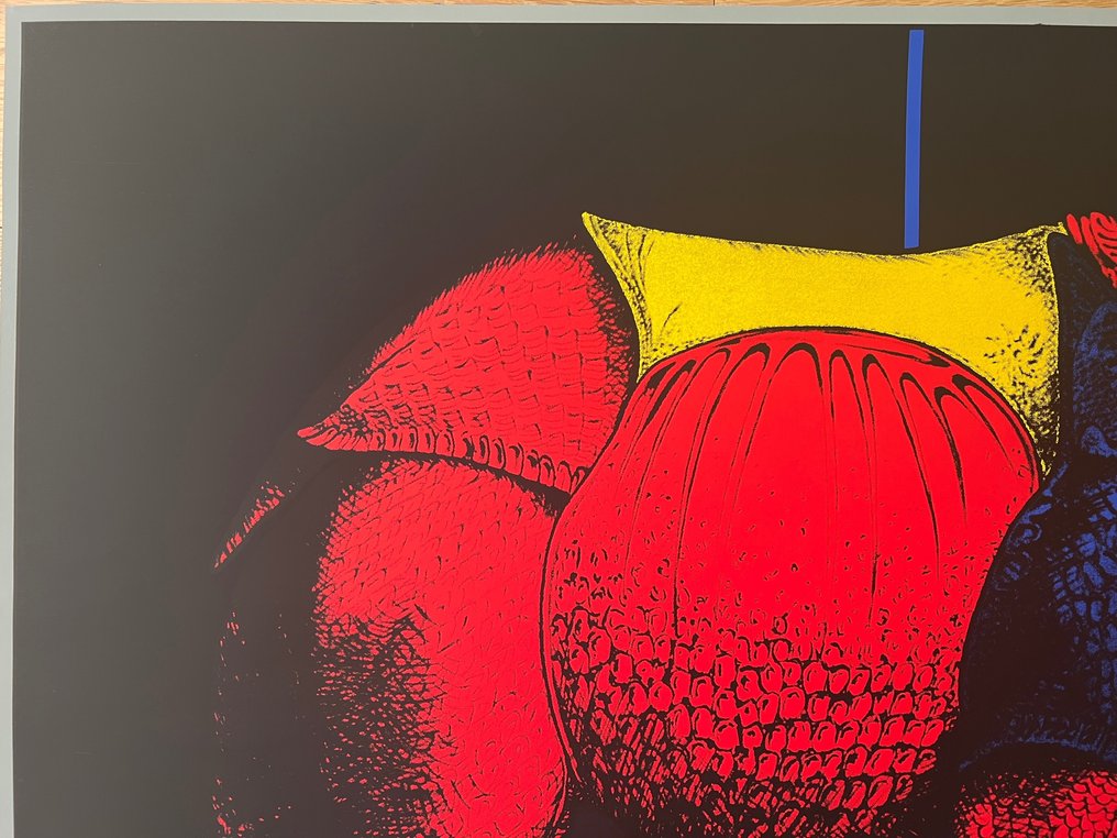 René Gruau - Poster decorativo- Il rinoceronte- serigrafia-Rene Gruau #3.2