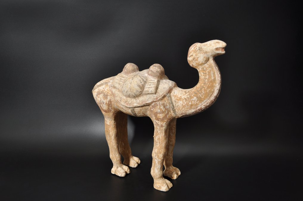 Altchinesisch Terracotta Kamel mit TL-Test - 39.5 cm #2.2