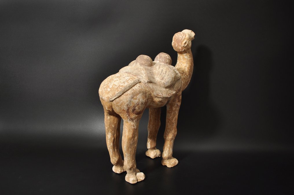 Altchinesisch Terracotta Kamel mit TL-Test - 39.5 cm #3.3