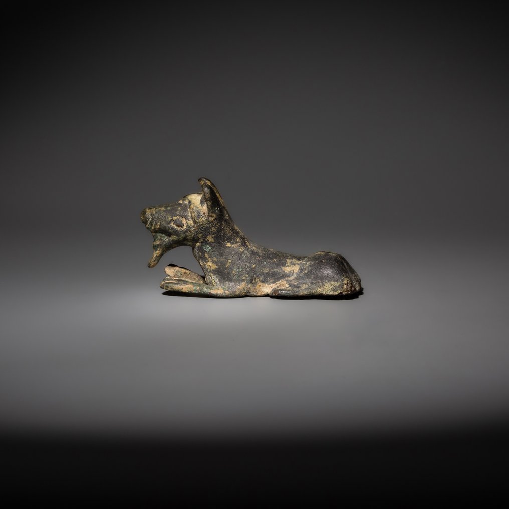 Iberisch Brons Votief Wolf-figuur. 5e - 1e eeuw voor Christus. 6,2 cm L. Met Spaanse exportvergunning. #2.2