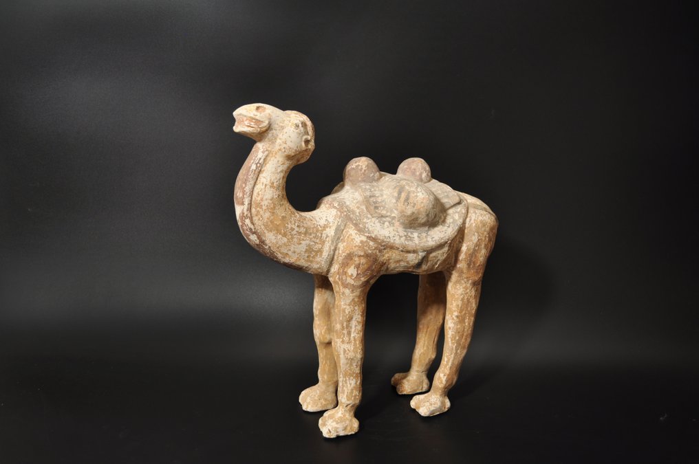 Altchinesisch Terracotta Kamel mit TL-Test - 39.5 cm #1.1