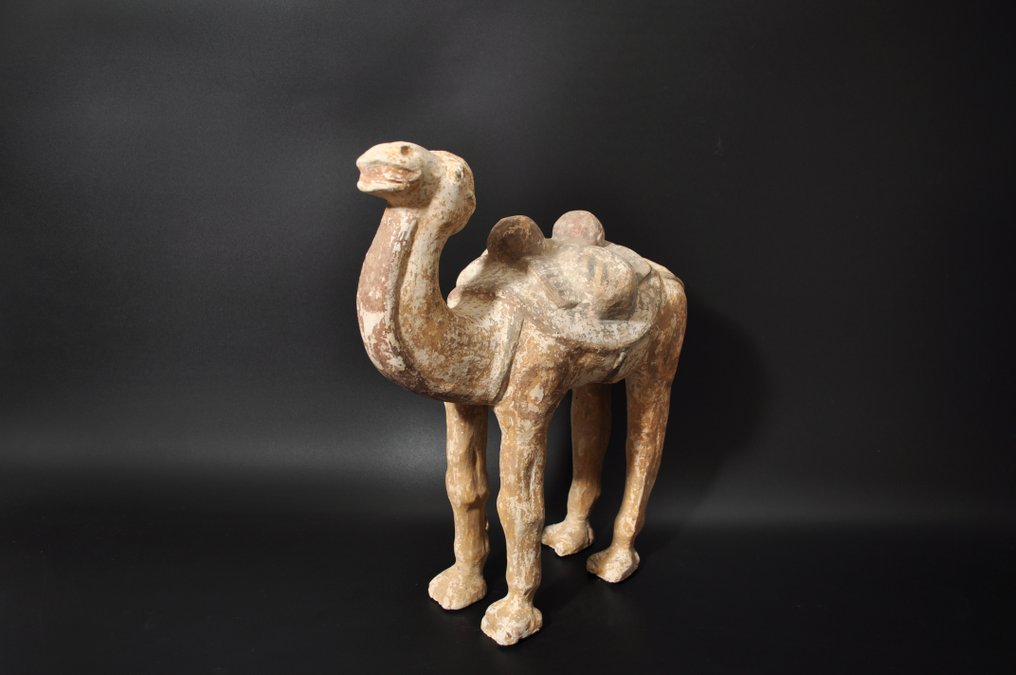 Altchinesisch Terracotta Kamel mit TL-Test - 39.5 cm #2.1