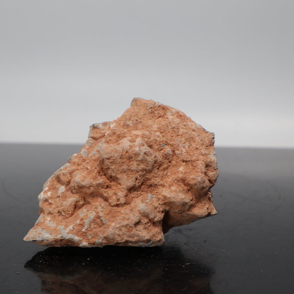SUPER!! LUNA Meteorite BECHAR 007 XXL!!! Neo - 76 g #2.1