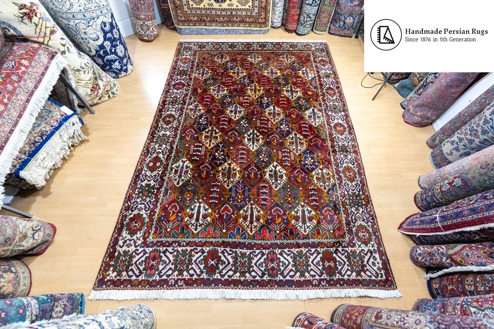 Bachtiar - Carpet - 313 cm - 215 cm #1.1
