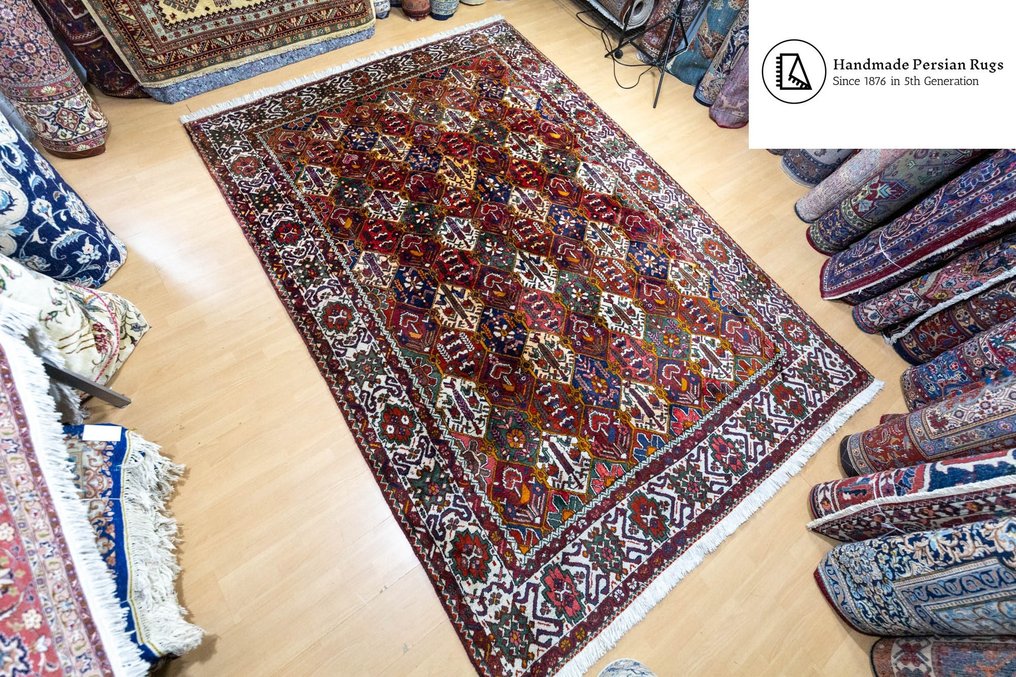 Bachtiar - Carpete - 313 cm - 215 cm #2.1