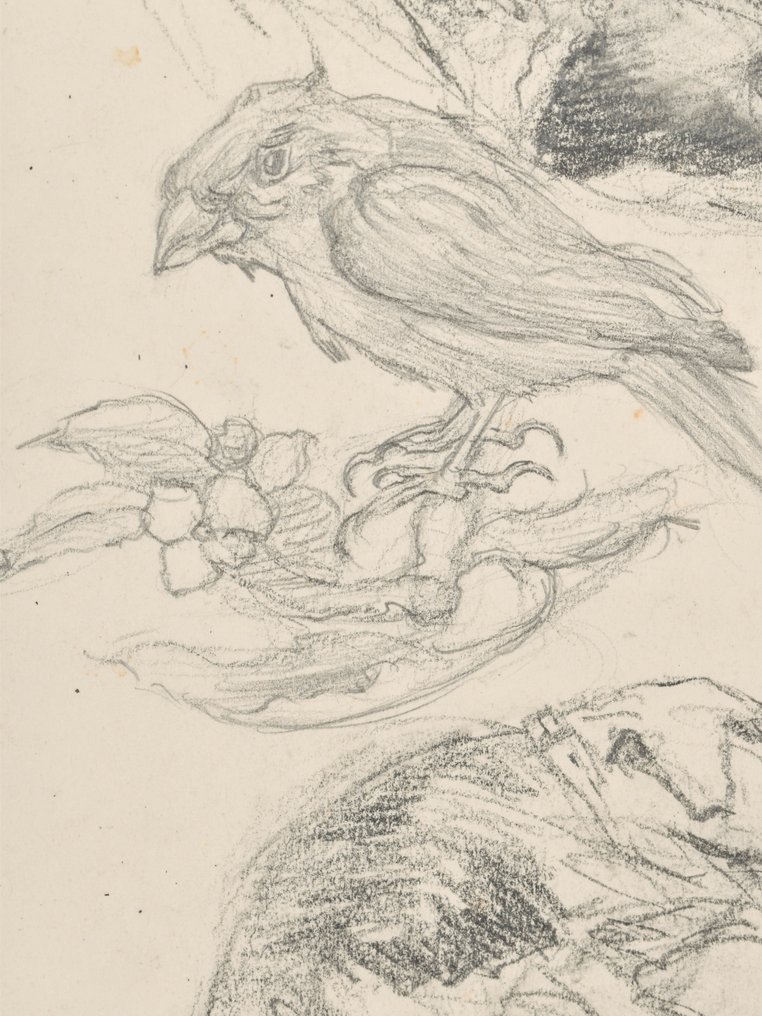 Anton Pieck (1895-1987) - Study of dogs and birds #2.1