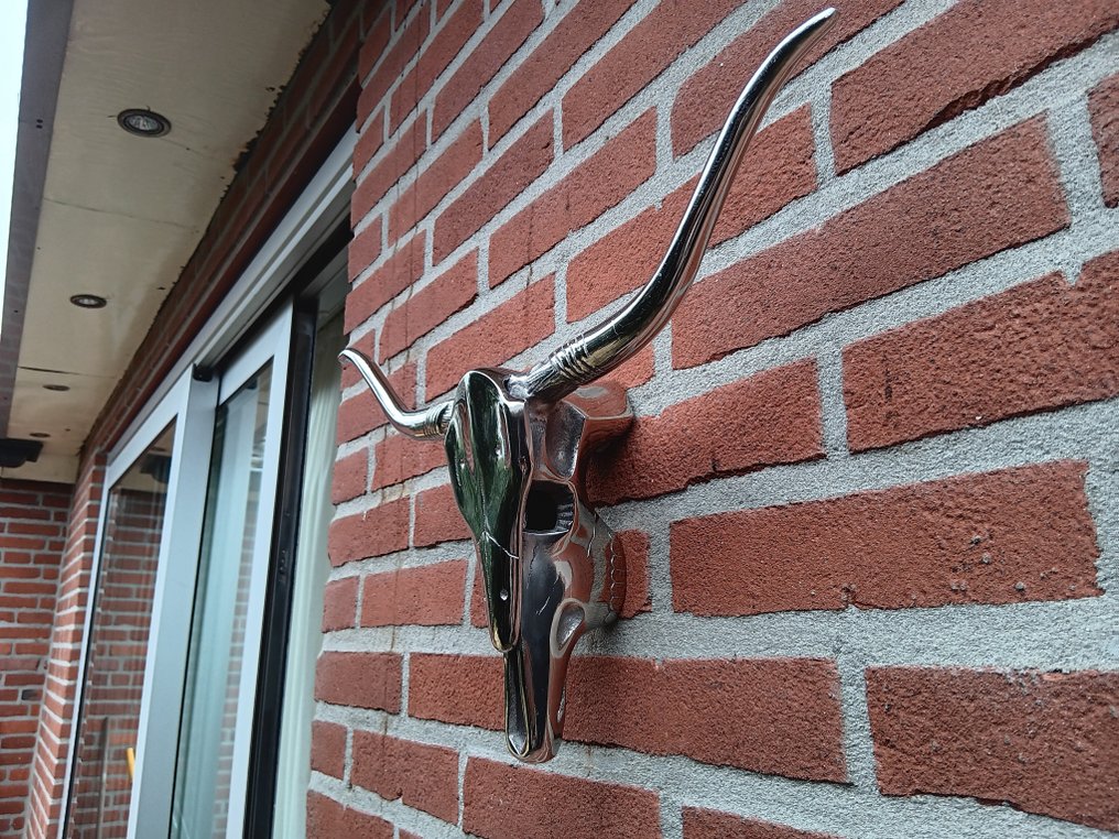 Μεγάλο γυαλισμένο αλουμίνιο κρανίο. - Πλάκα - Διακοσμητικό κρανίο - Αλουμίνιο #1.0