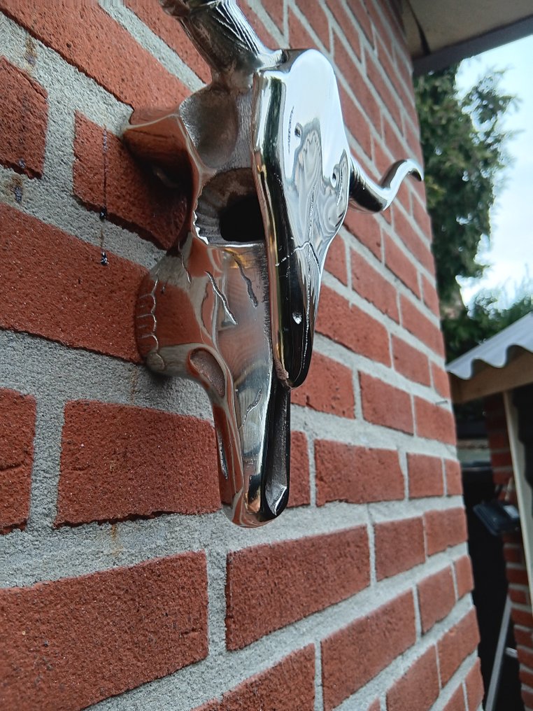 Μεγάλο γυαλισμένο αλουμίνιο κρανίο. - Πλάκα - Διακοσμητικό κρανίο - Αλουμίνιο #4.3