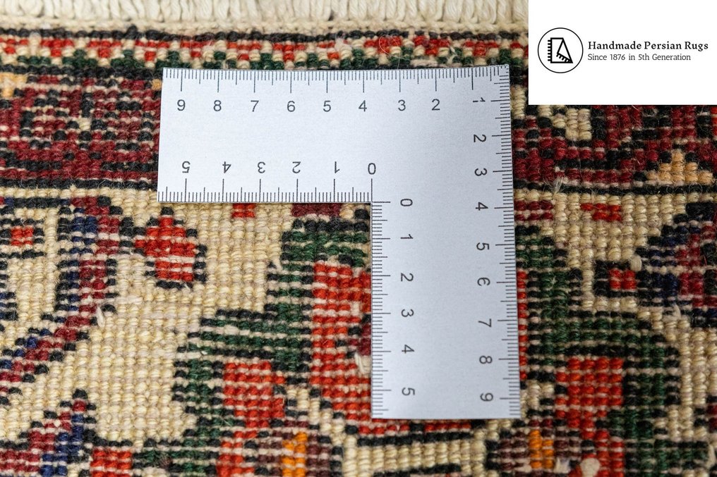 Bachtiar - Carpet - 313 cm - 215 cm #2.2