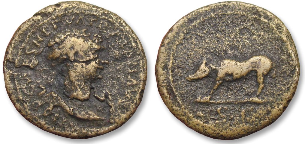Römisches Reich. Trajan (98-117 n.u.Z.). Quadrans Group of 2 bronze quadrans, Rome mint circa 109-117 A.D. - She-Wolf left - #2.1