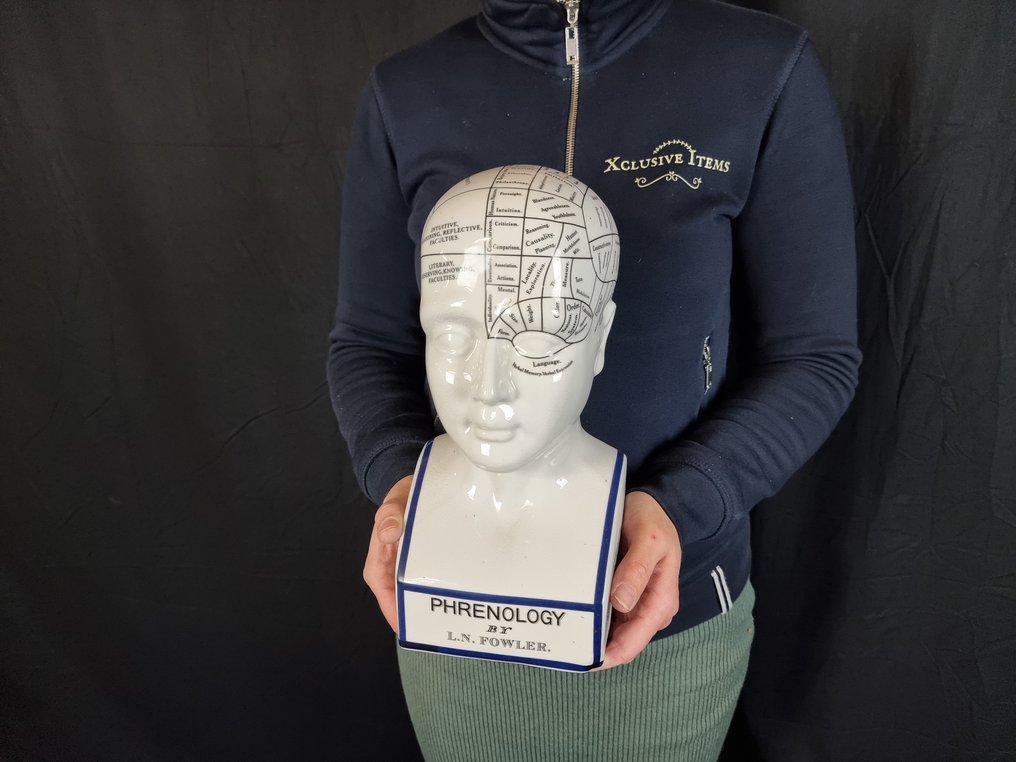 Statua, Phrenology Head 28.5cm - 28.5 cm - Porcellana #2.1
