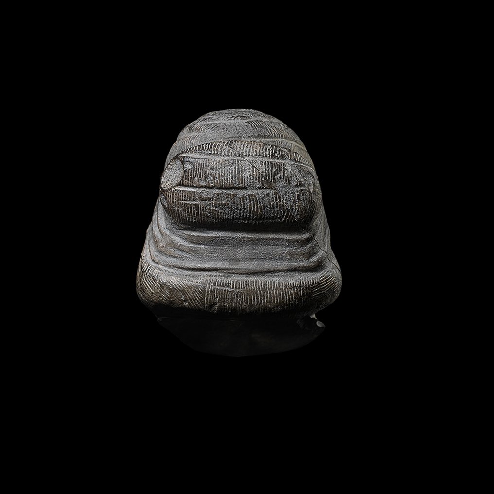 索不达米亚 石头 重要的美索不达米亚头像。已出版。曾收藏于佳士得、卡恩和 TEFAF，并有西班牙出口品。 #3.2