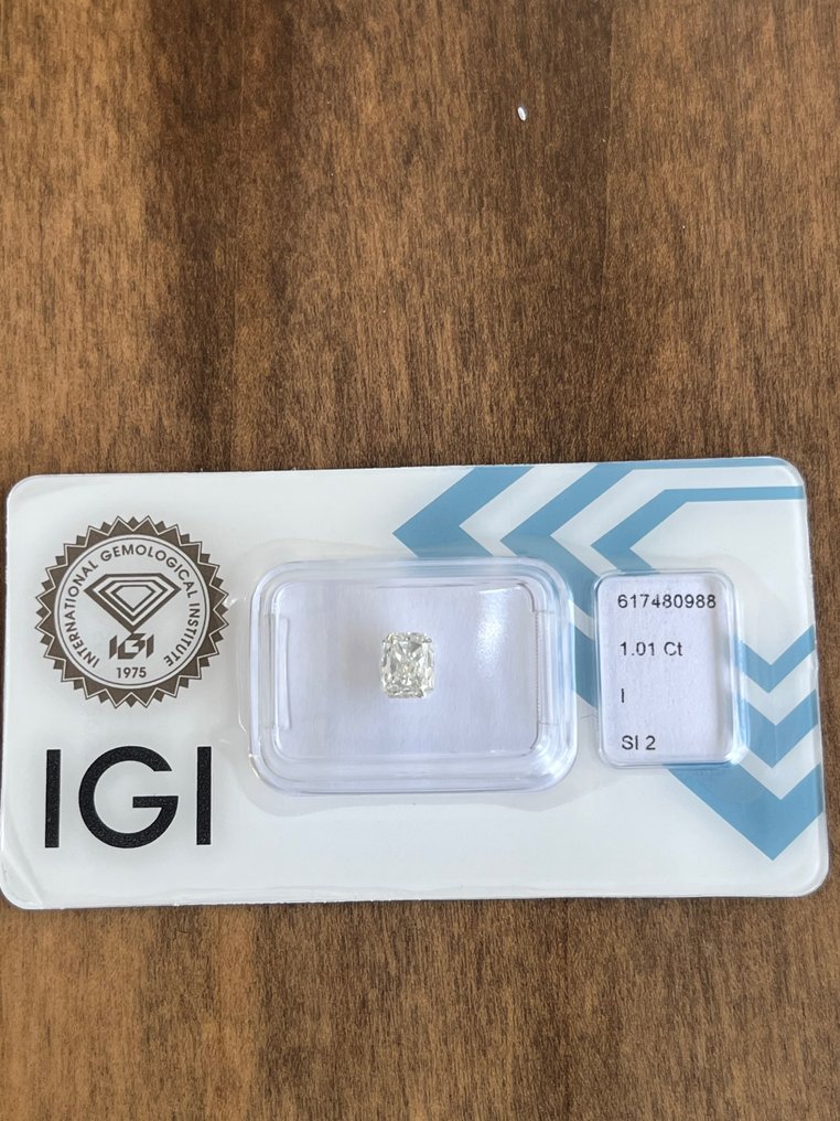 1 pcs 鑽石  - 1.01 ct - 雷地恩型 - SI2 #1.1