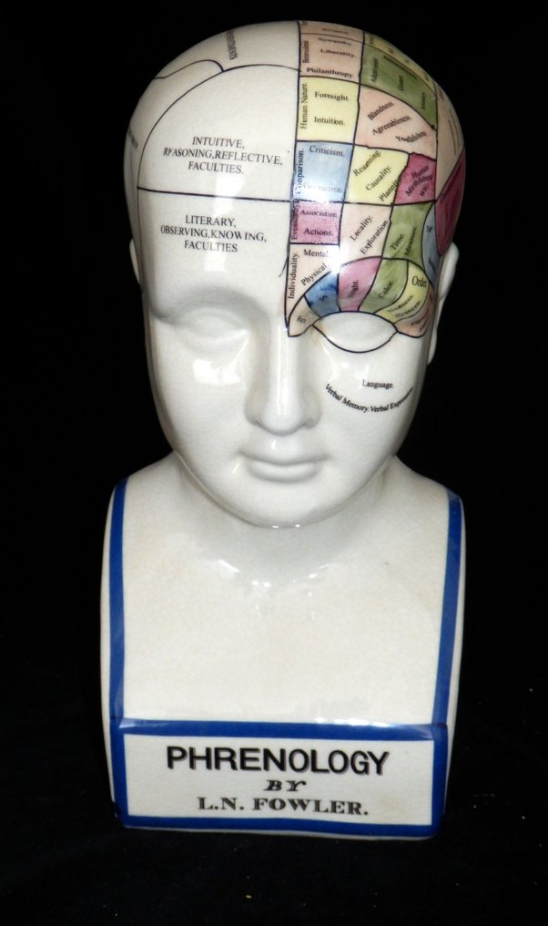 Ornamento para a cabeça - Groot model Phrenology Hoofd - Dr. L.N.Fowler in Kleur #1.1