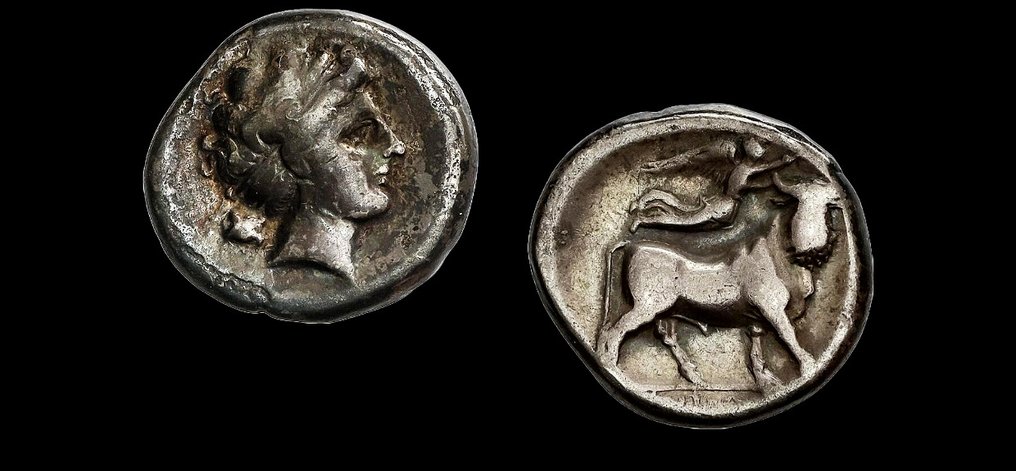坎帕尼亚， 那不勒斯. Didrachm 320-300 BC #1.1
