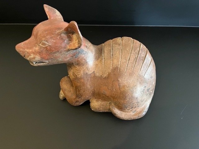 Colima, Mexico, Keramikk Liggende hund figur. 35 cm #1.1