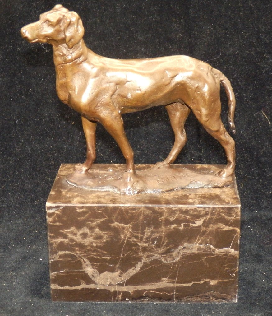 sculptuur, Zware Bronzen hond op marmeren voet - Naar Louis-Albert Carvin (1875-1951) - 19 cm - Brons, Marmer - 2000 #1.2