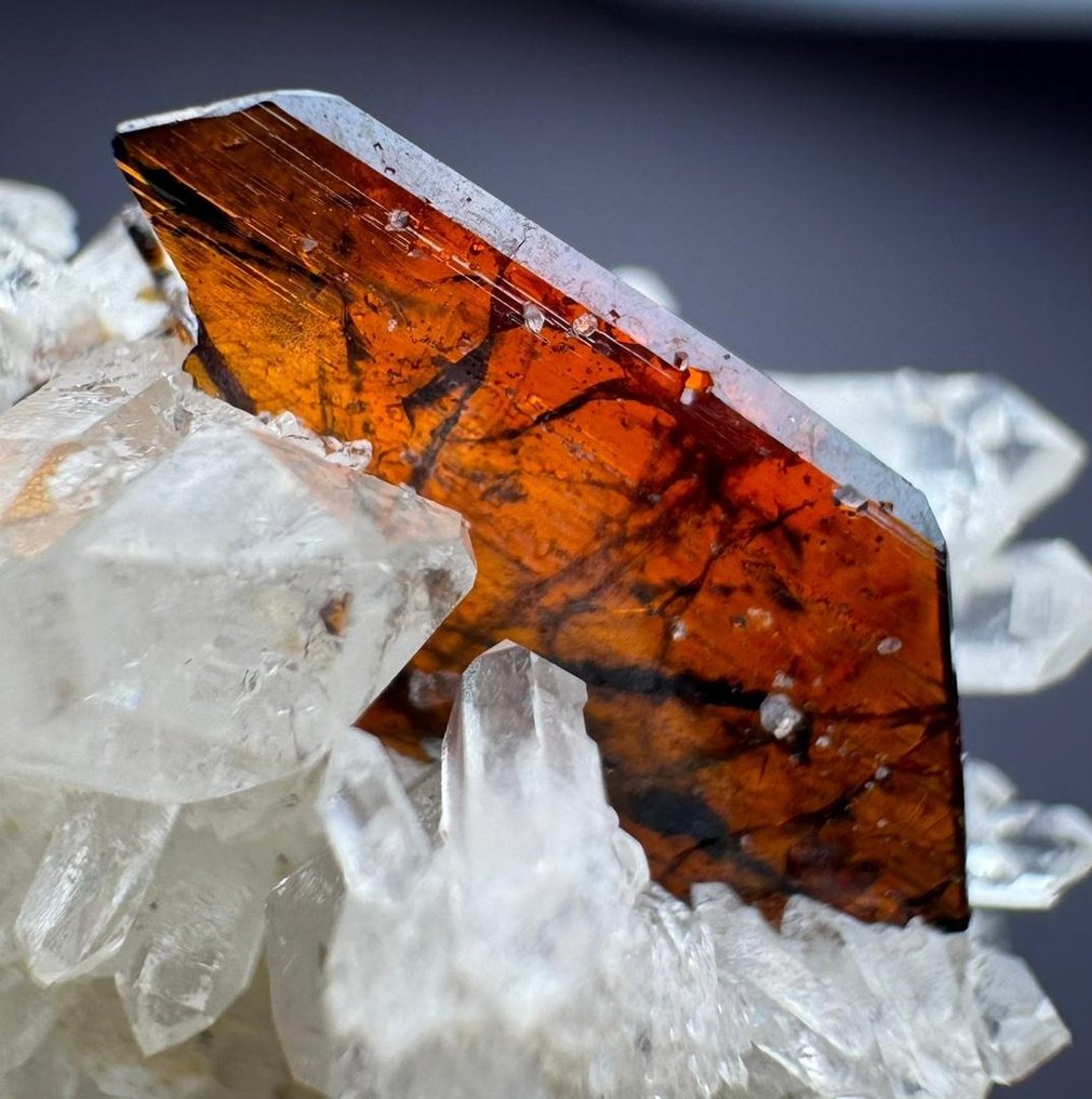 Full Terminated Top Red Like Blood Brookite Crystal σε κρύσταλλο Quartz Bunch Κρίσταλ στη μήτρα - Ύψος: 47 mm - Πλάτος: 71 mm- 110 t - (1) #1.1