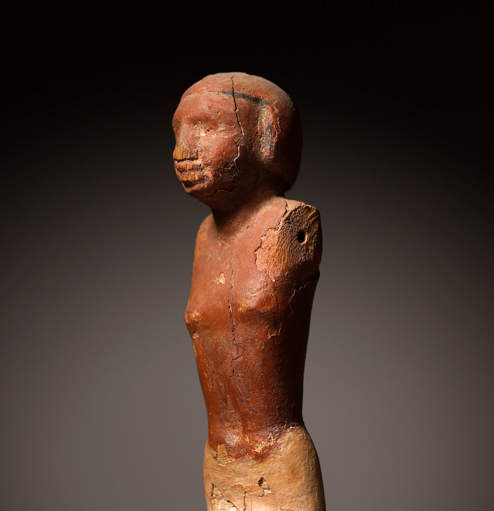 Ancient Egyptian Wood Funerary model - 29 cm #1.2