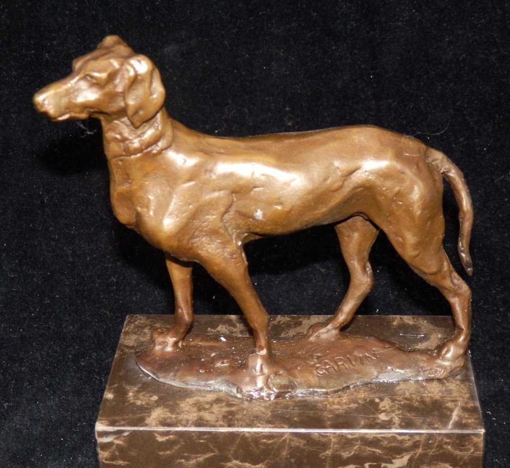 sculptuur, Zware Bronzen hond op marmeren voet - Naar Louis-Albert Carvin (1875-1951) - 19 cm - Brons, Marmer - 2000 #1.1
