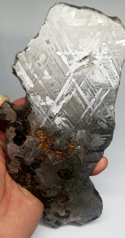 Seymchan XXL 隕石 石鐵隕石 - 442 g #2.1