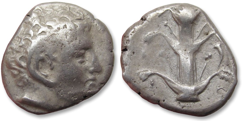 昔兰尼加， 凯雷内. Time of Magas. Didrachm circa 294-275 B.C. - variety with cornucopiae symbol on reverse - #2.1