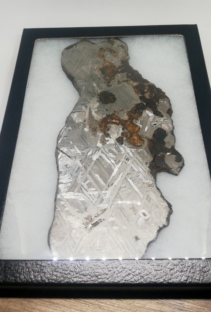 Seymchan XXL-Meteorit Stein- Eisen- Meteorit - 442 g #1.2