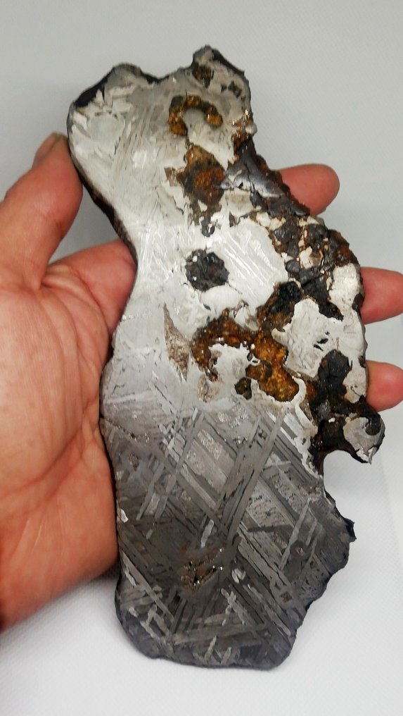 Seymchan XXL meteorit Kő-vasmeteorit - 442 g #1.1