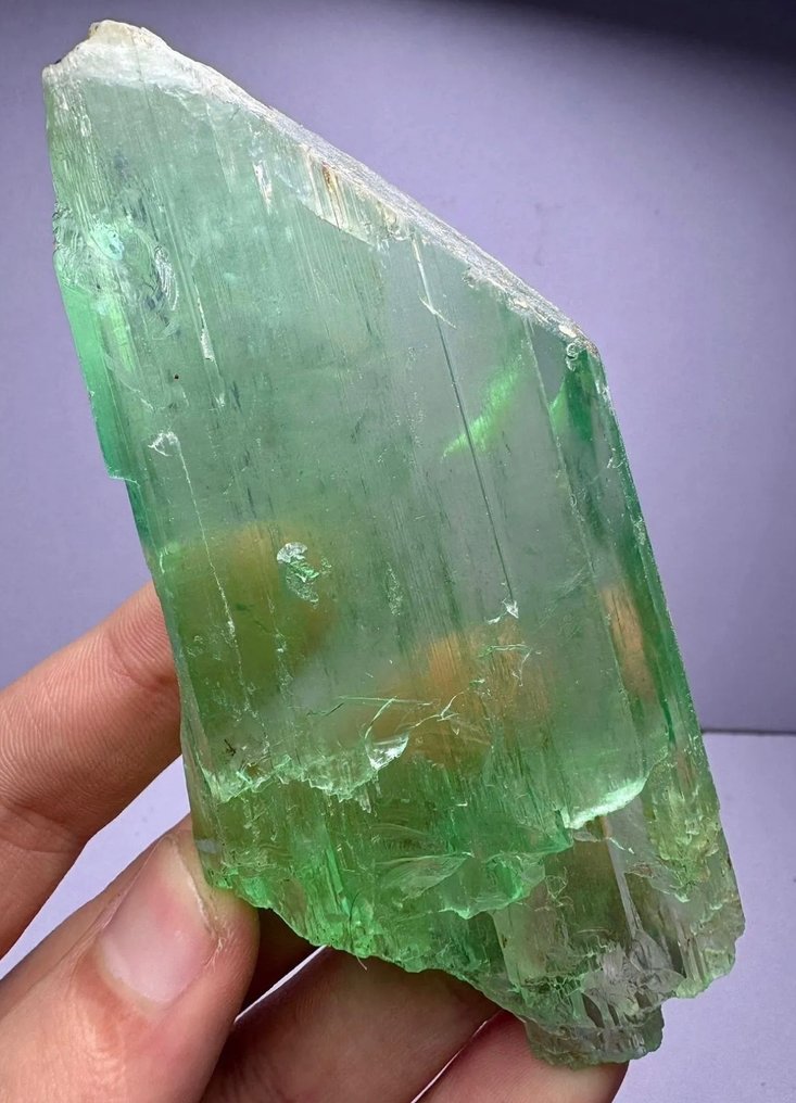 Finisat top verde bogat uriaș Kunzit Cristal - Înălțime: 127 mm - Lățime: 24 mm- 298 g - (1) #1.1